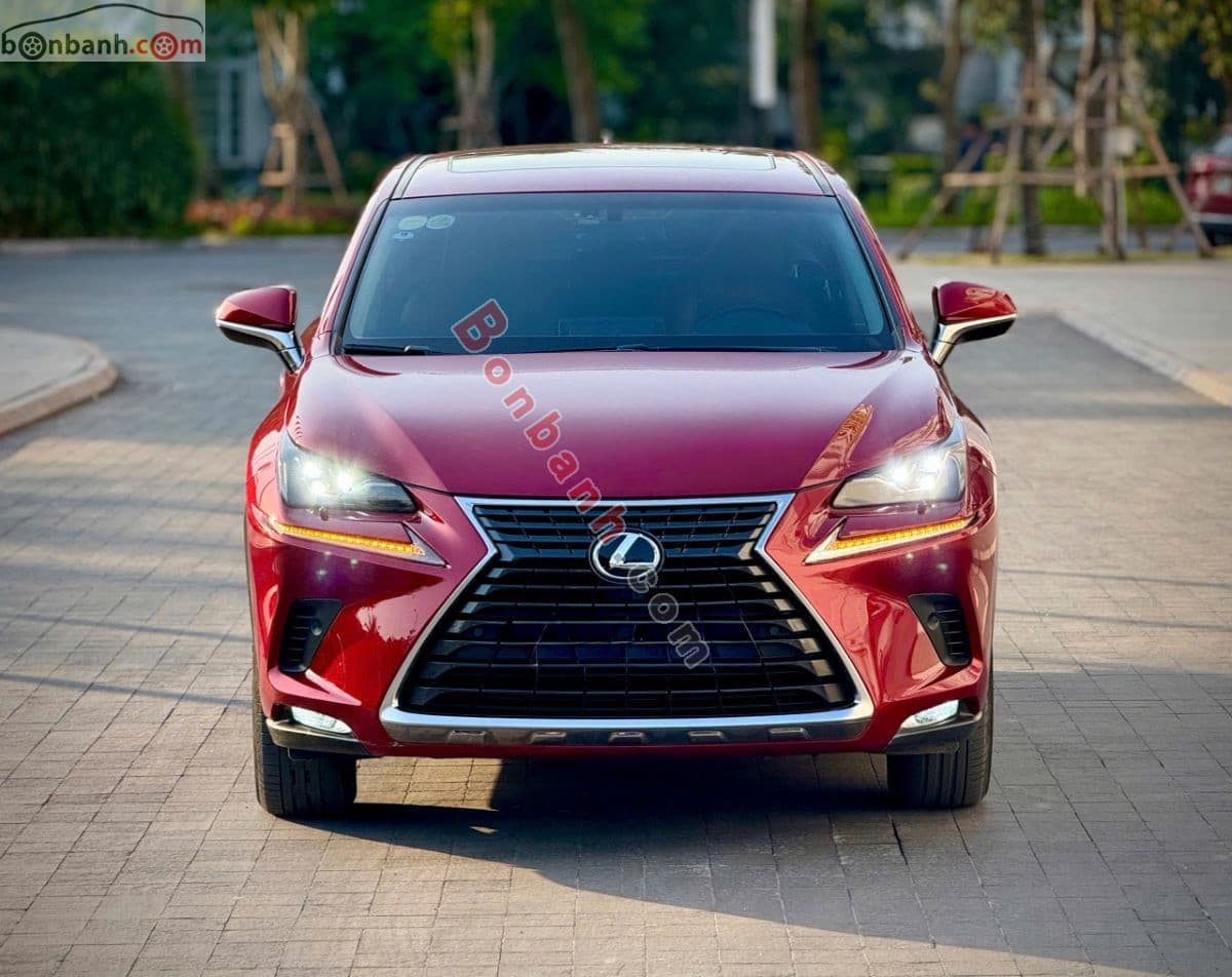 2019 Lexus NX 300