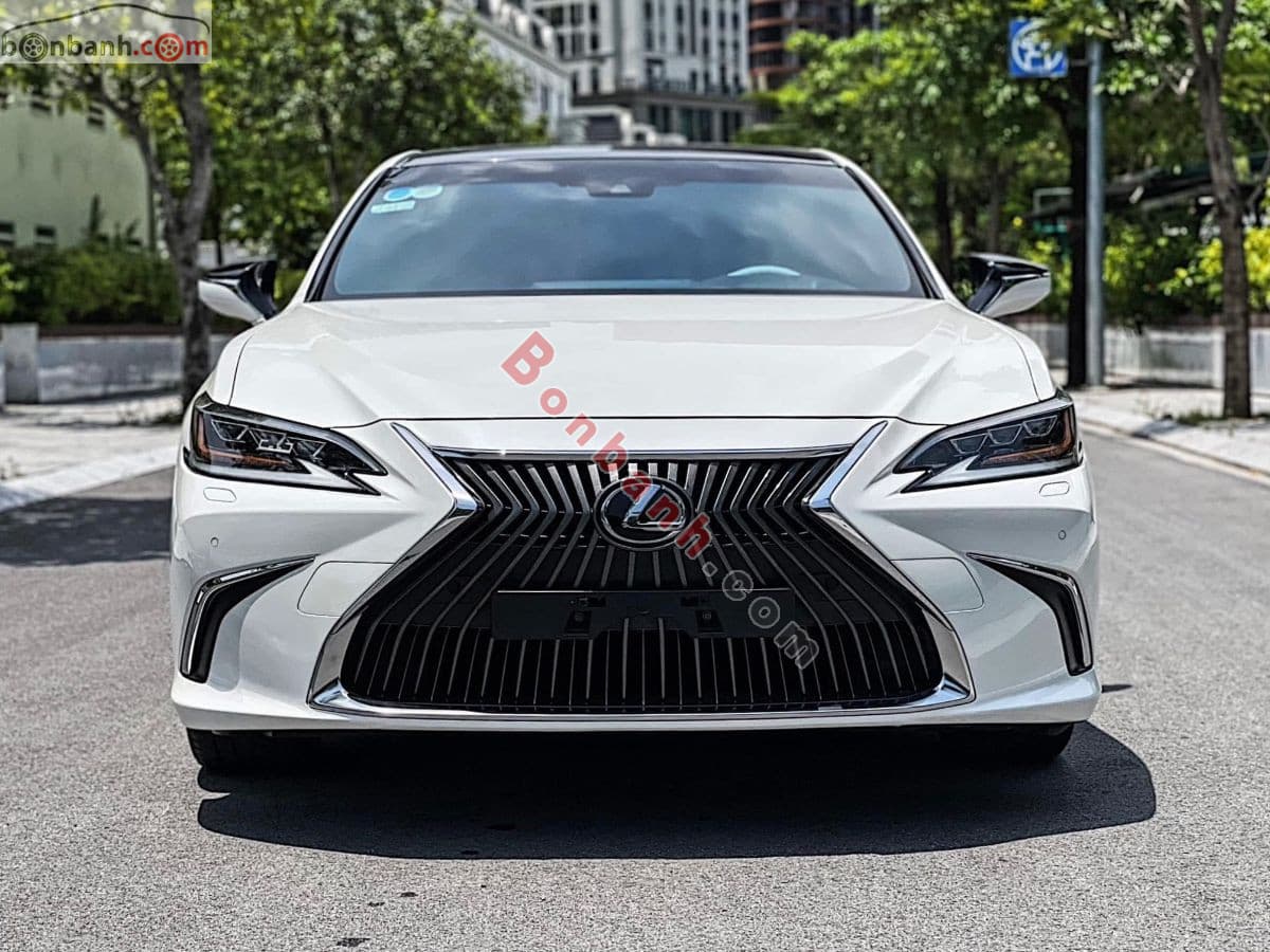 2019 Lexus ES 250
