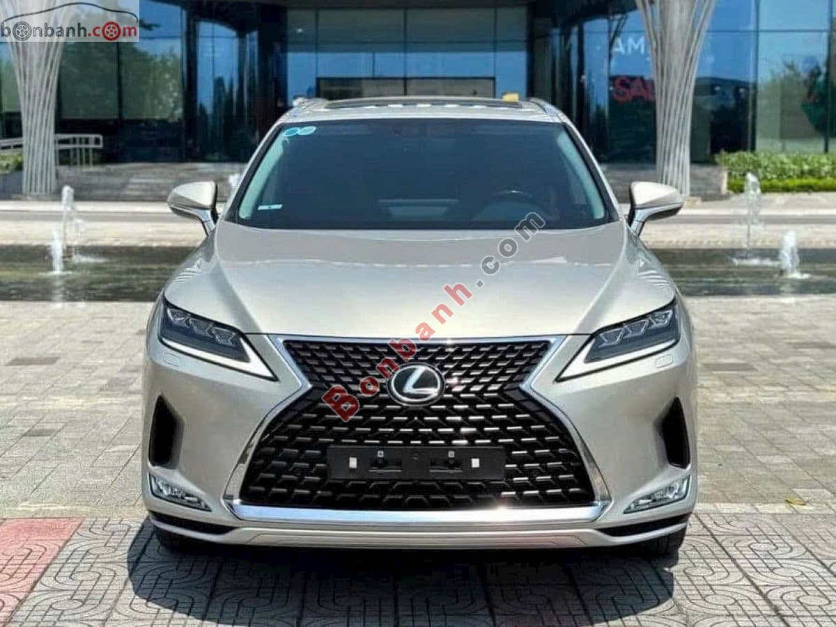 2020 Lexus RX 300