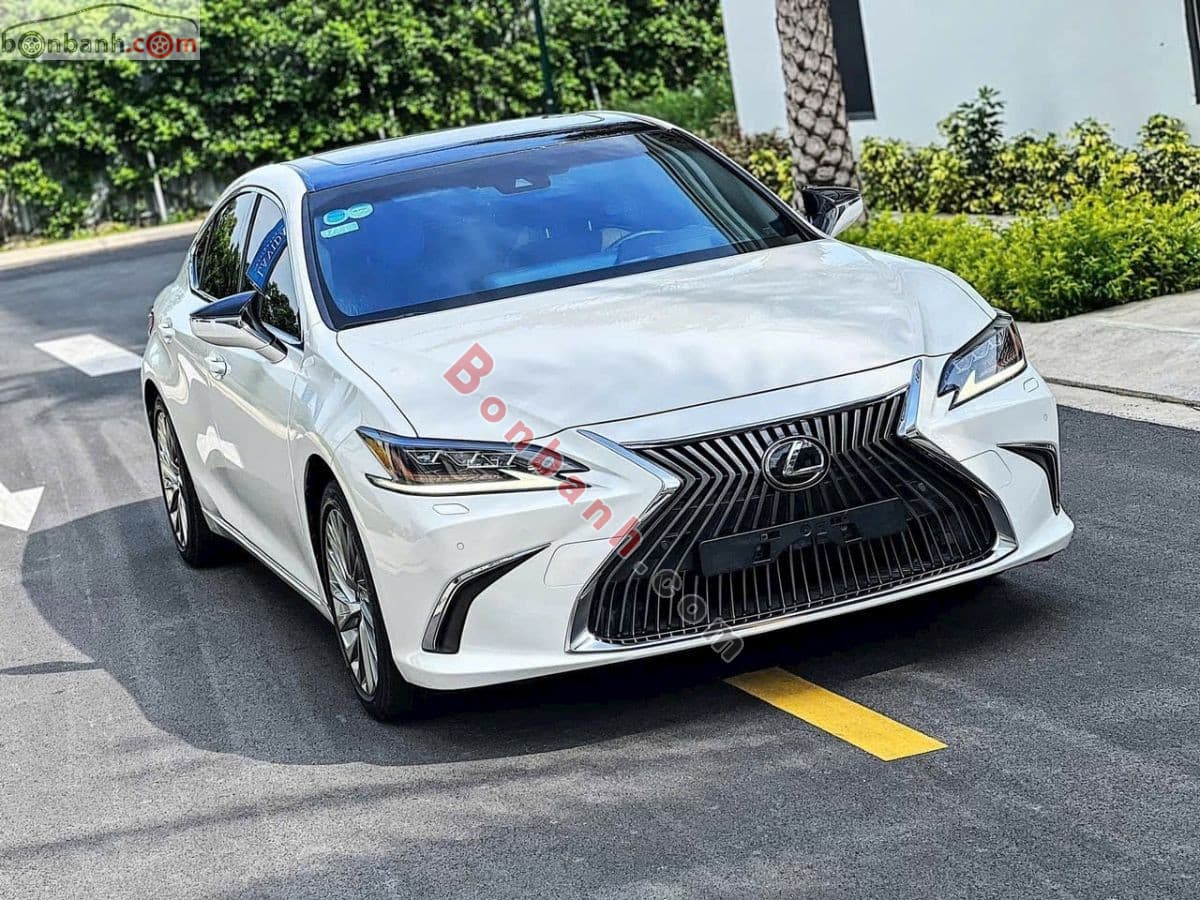 2020 Lexus ES 250
