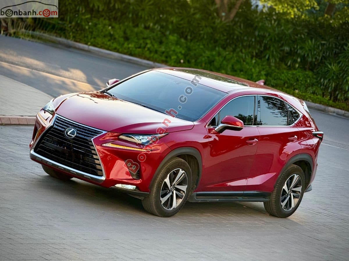 2019 Lexus NX 300