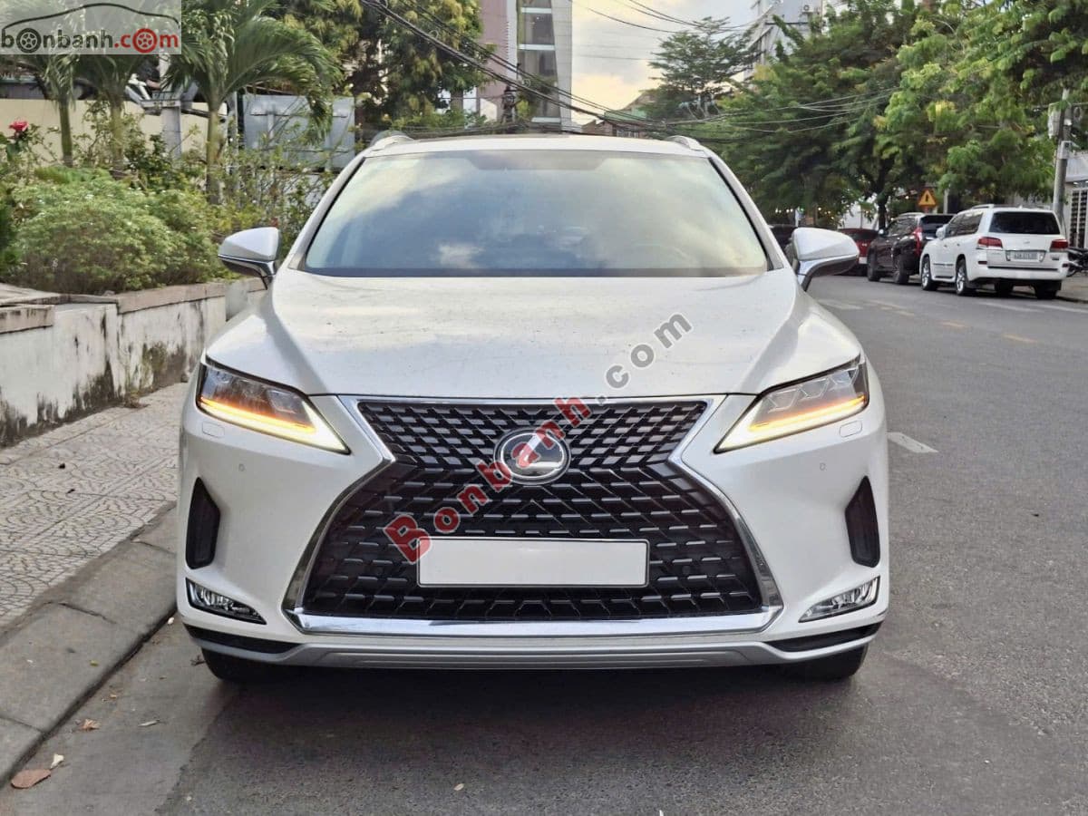2021 Lexus RX 300