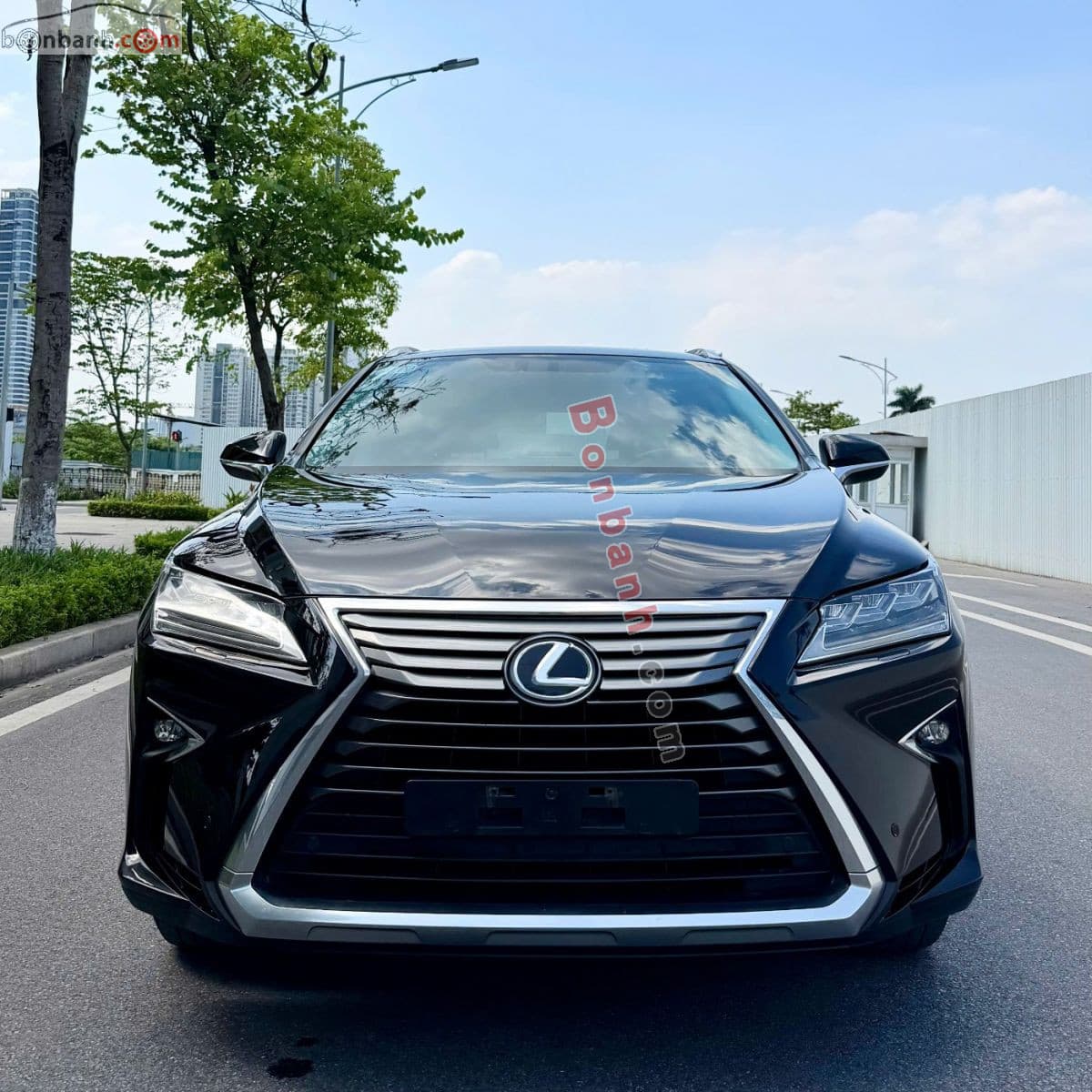 2018 Lexus RX 300