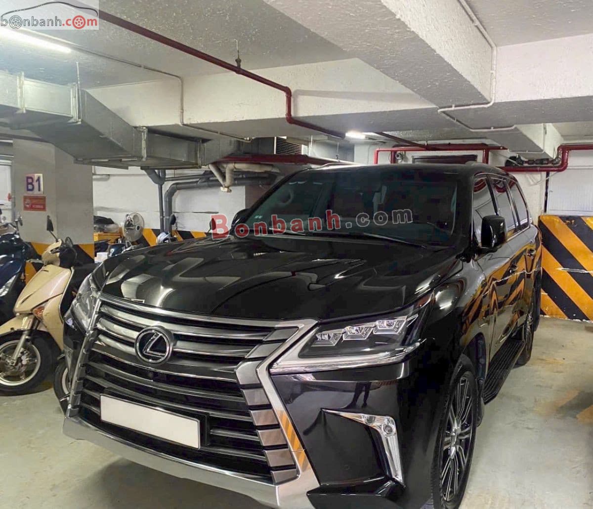 2019 Lexus LX 570