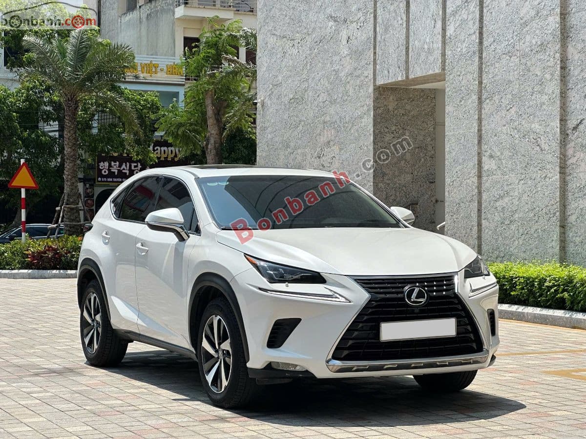 2019 Lexus NX 300