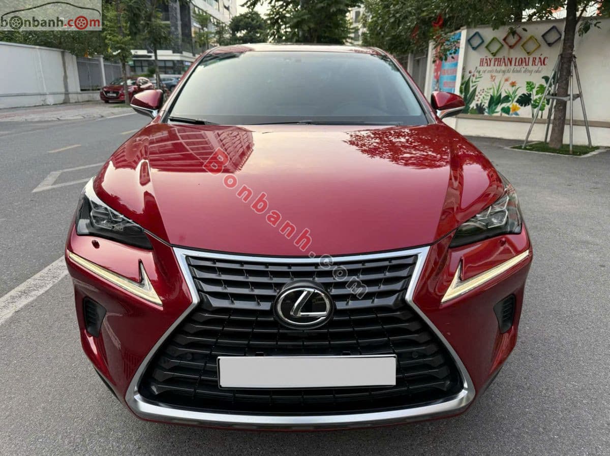 2019 Lexus NX 300