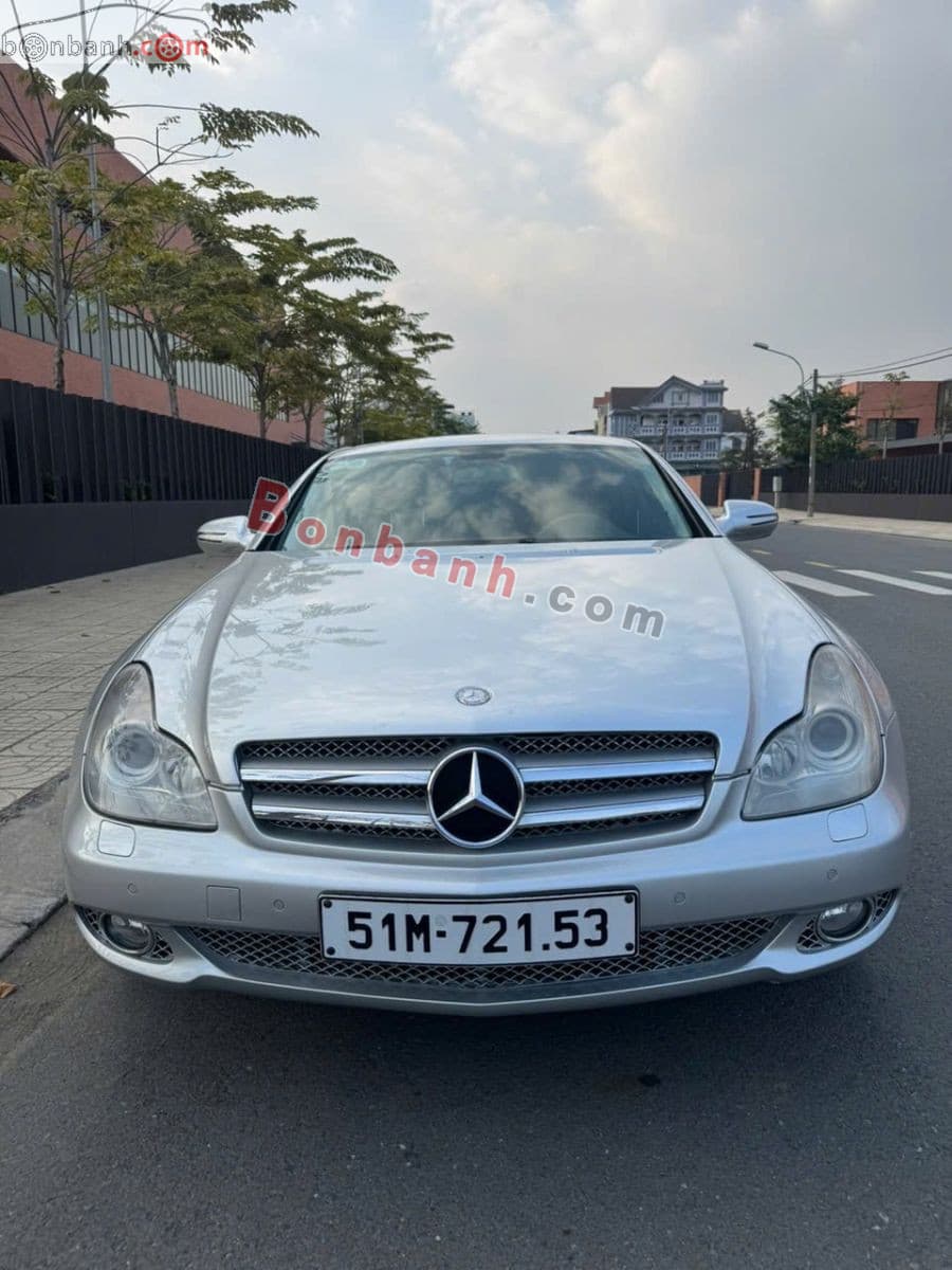 2010 Mercedes-Benz CLS class CLS 300