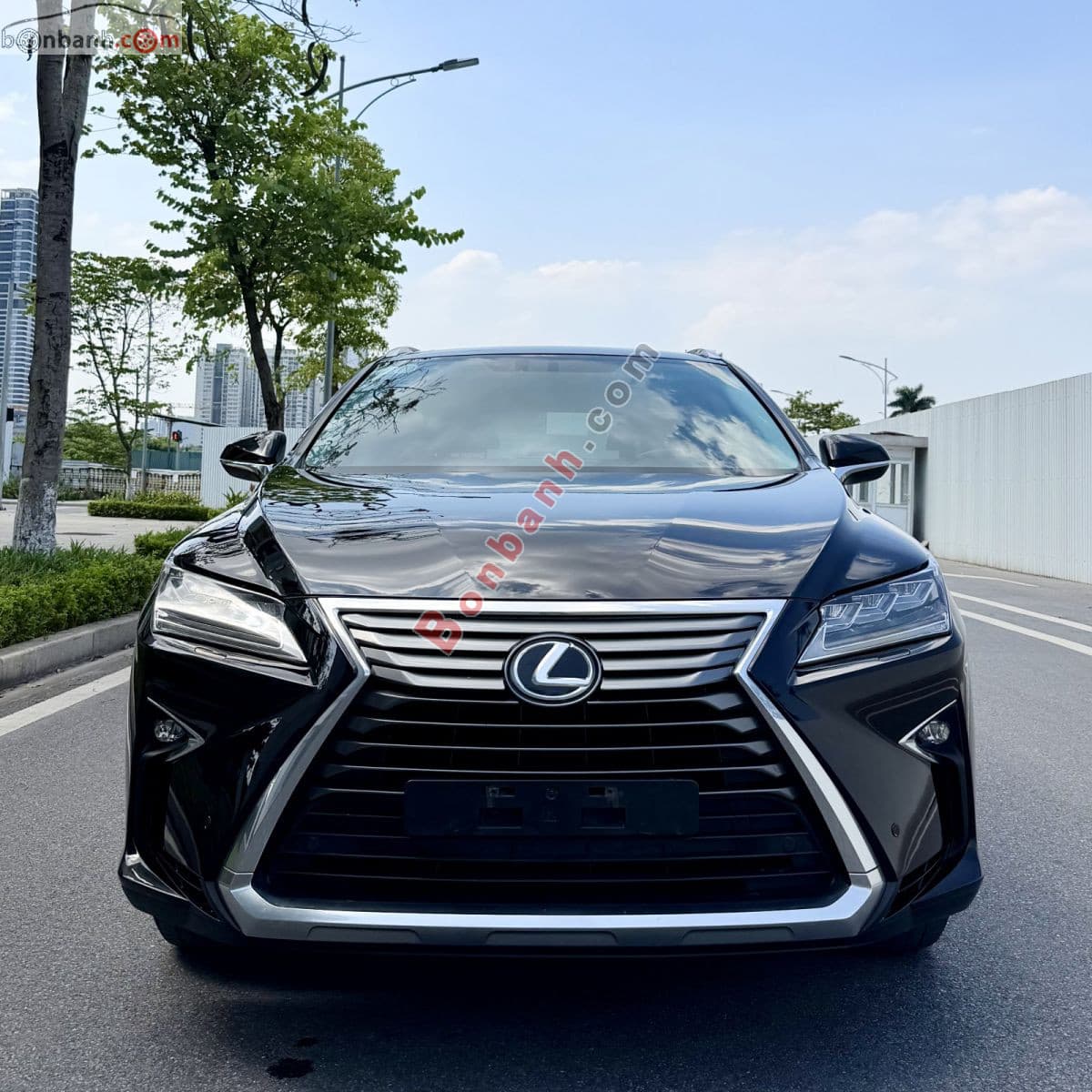 2018 Lexus RX 300