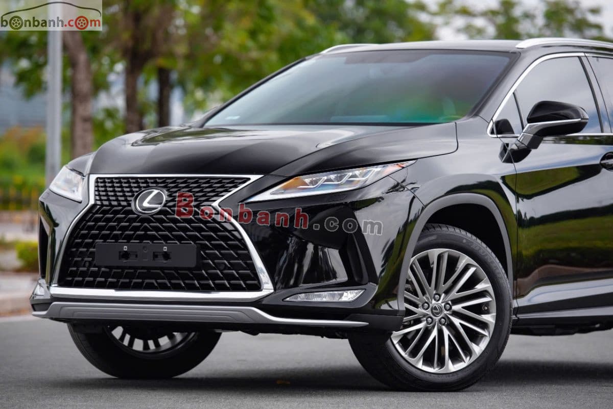 2019 Lexus RX 300