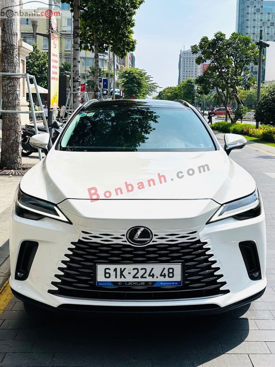 2022 Lexus RX 350 Luxury