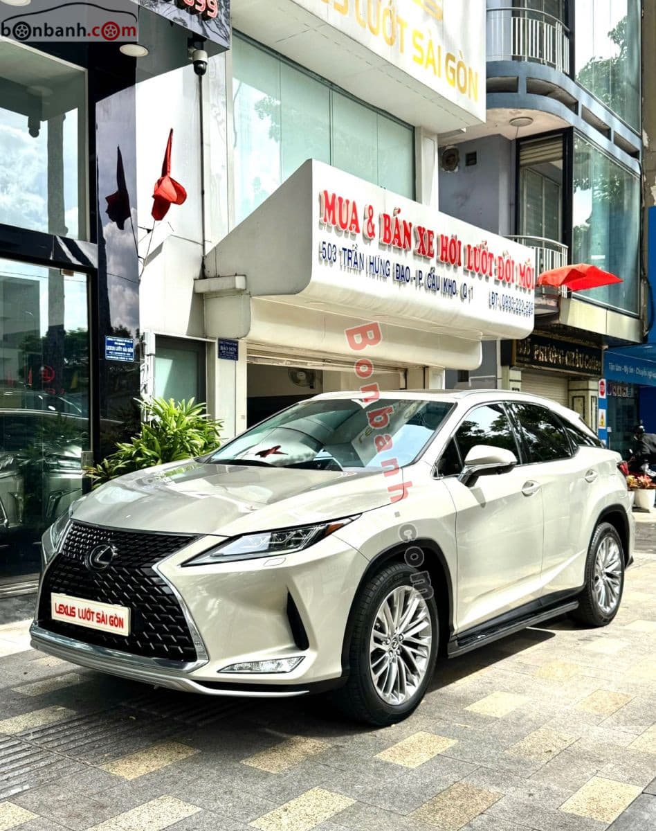 2019 Lexus RX 300