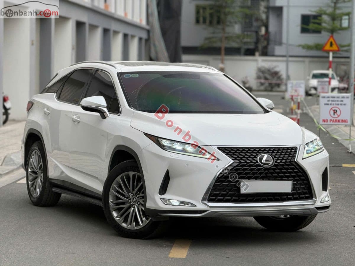 2021 Lexus RX 300