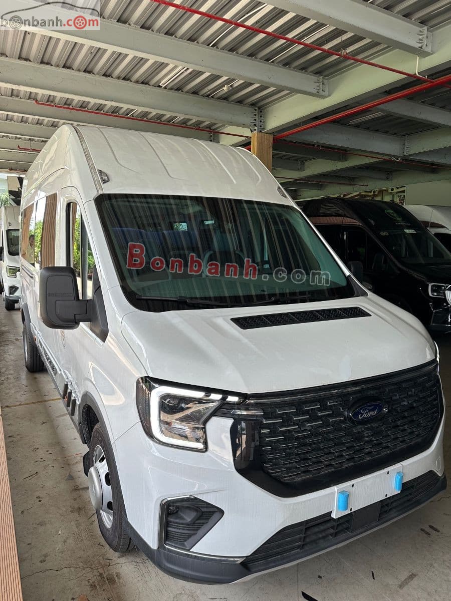 2026 Ford Transit Limousine 12S