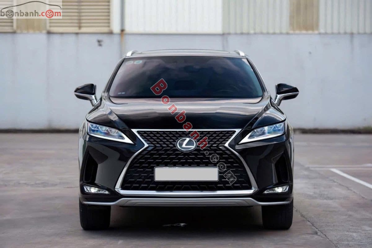 2019 Lexus RX 300