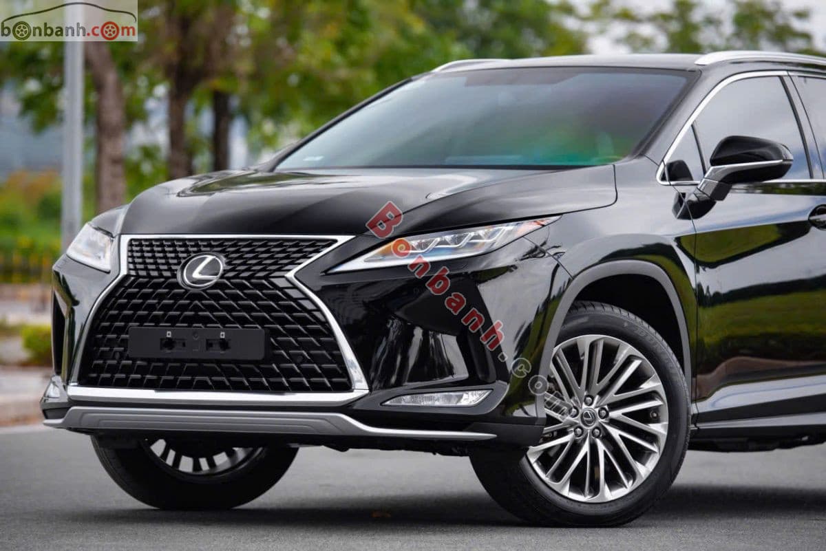2019 Lexus RX 300
