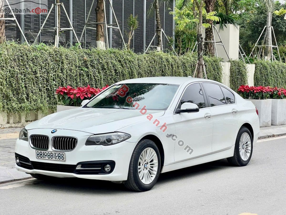 2015 BMW 5 Series 520i