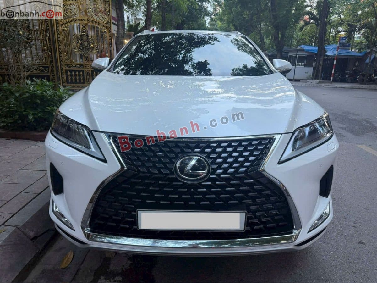 2021 Lexus RX 300