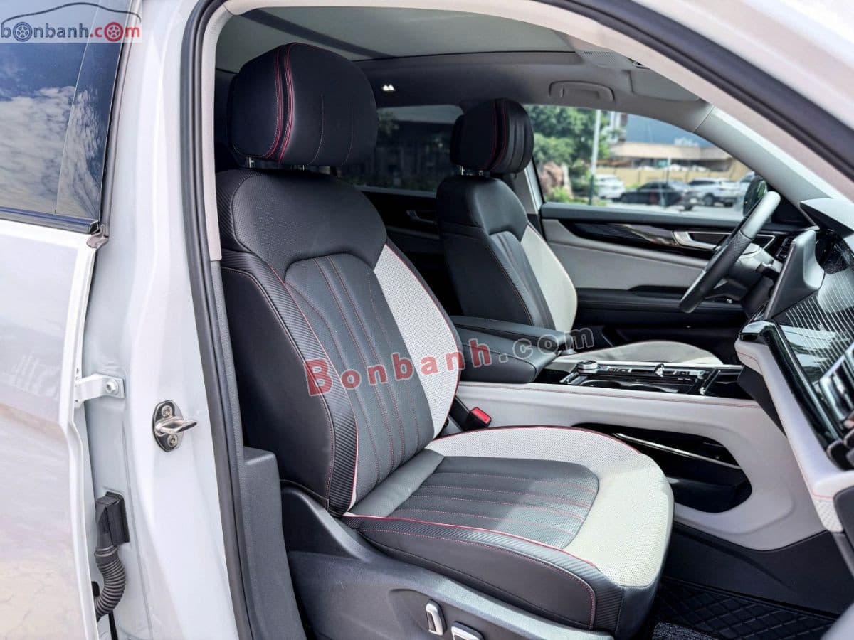 2025 Volkswagen Teramont X Platinum 2.0 AT - ảnh nhỏ 9