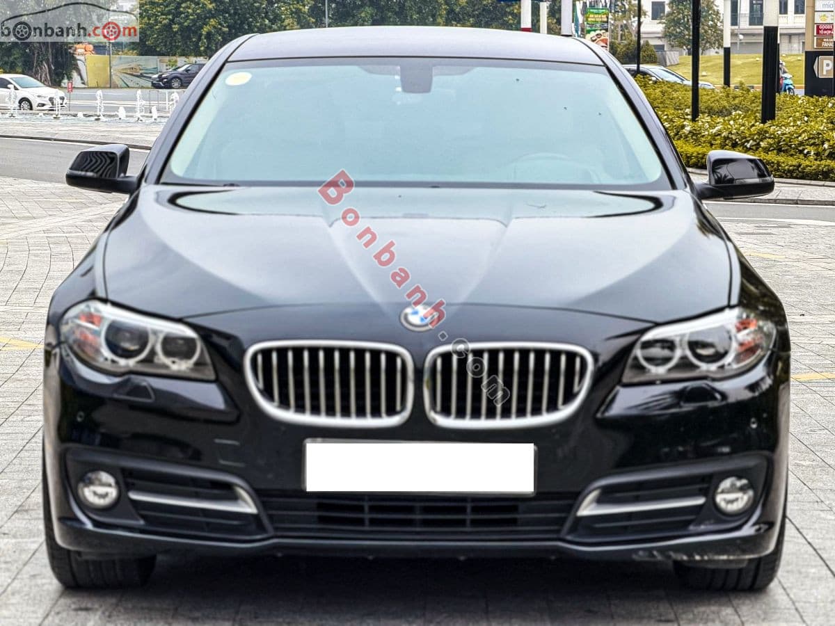 2016 BMW 5 Series 520i