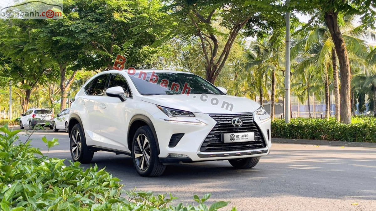 2019 Lexus NX 300