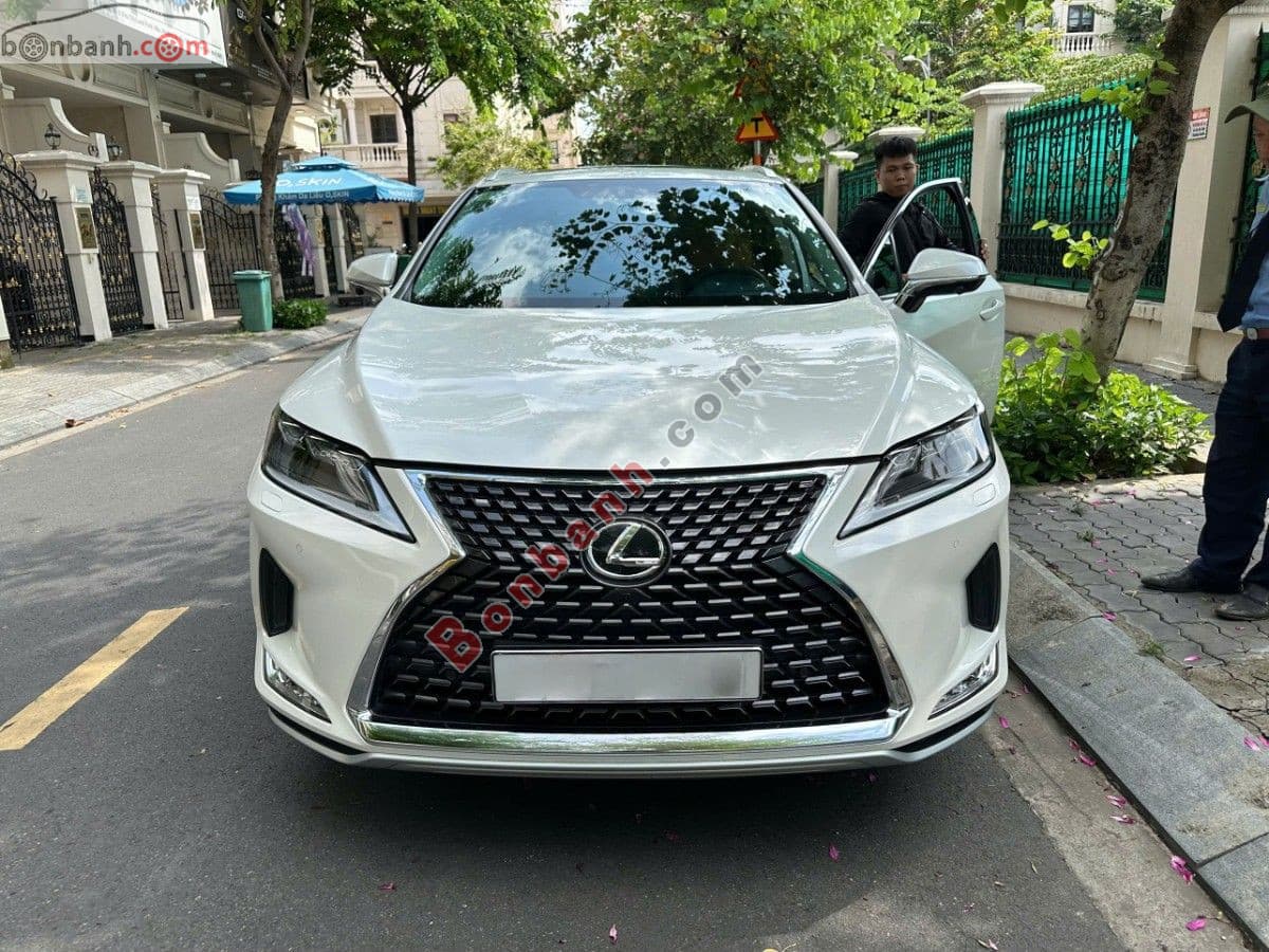 2021 Lexus RX 300