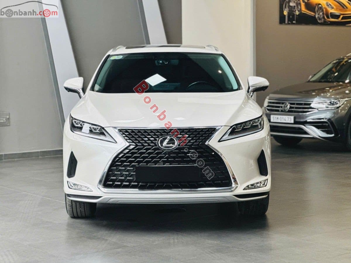 2021 Lexus RX 300