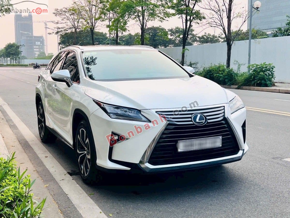 2019 Lexus RX 300