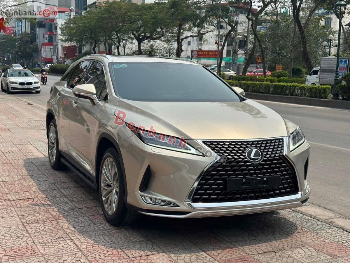 2021 Lexus RX 300