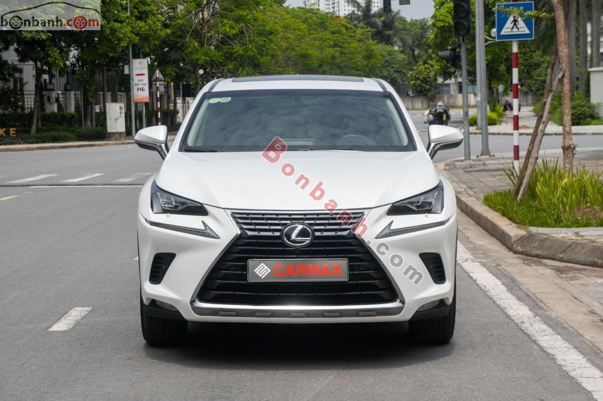 2017 Lexus NX 300