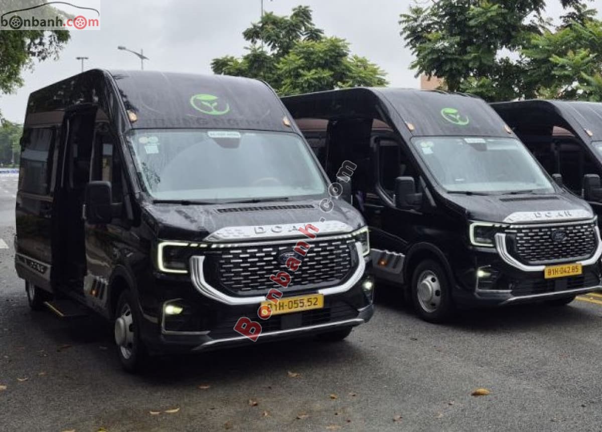 2025 Ford Transit Limousine 12S