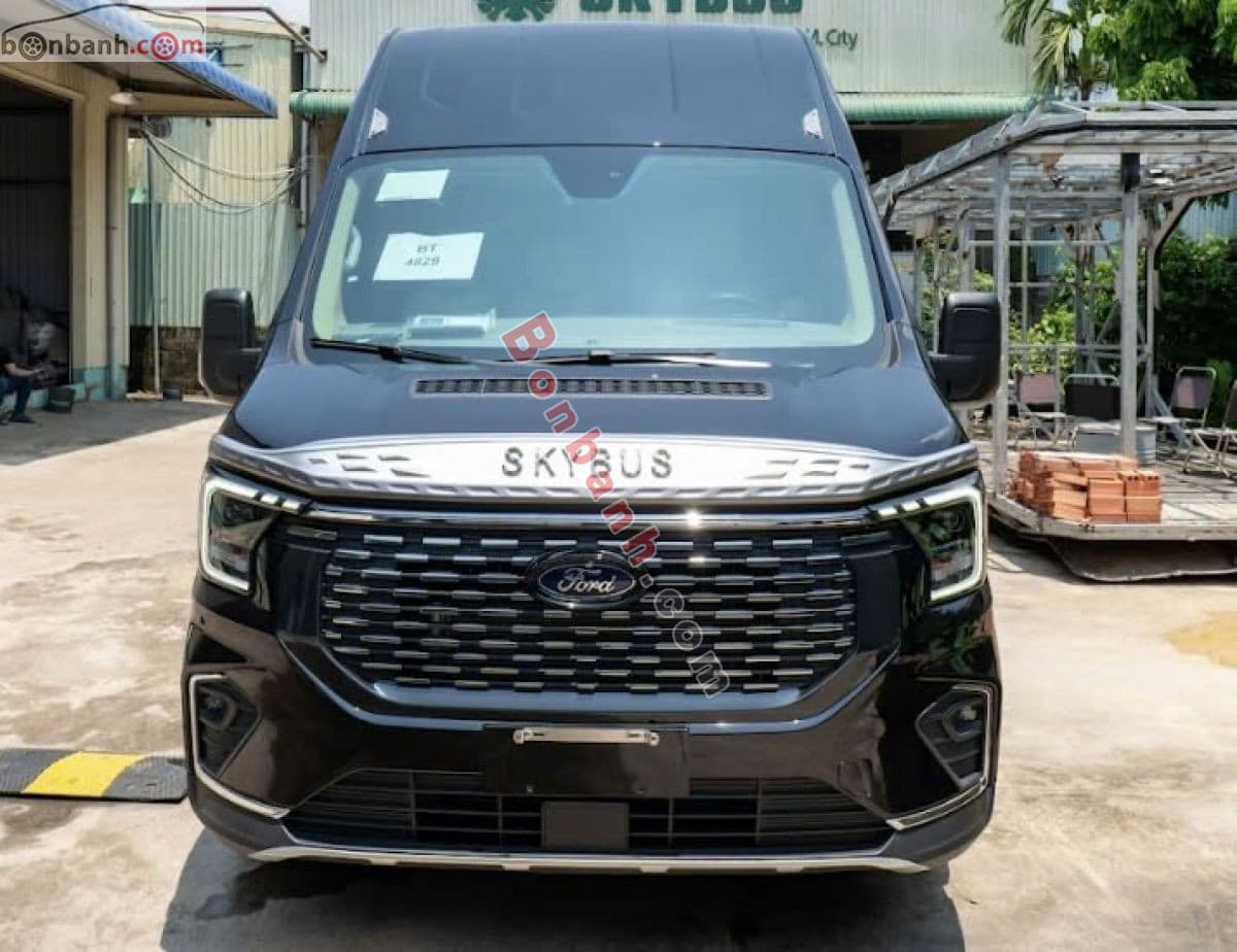 2026 Ford Transit Limousine 10S