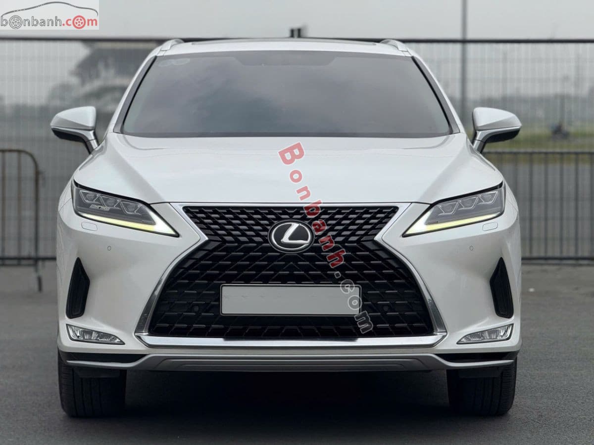 2021 Lexus RX 300