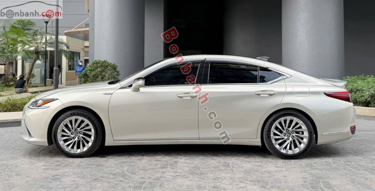 2019 Lexus ES 250