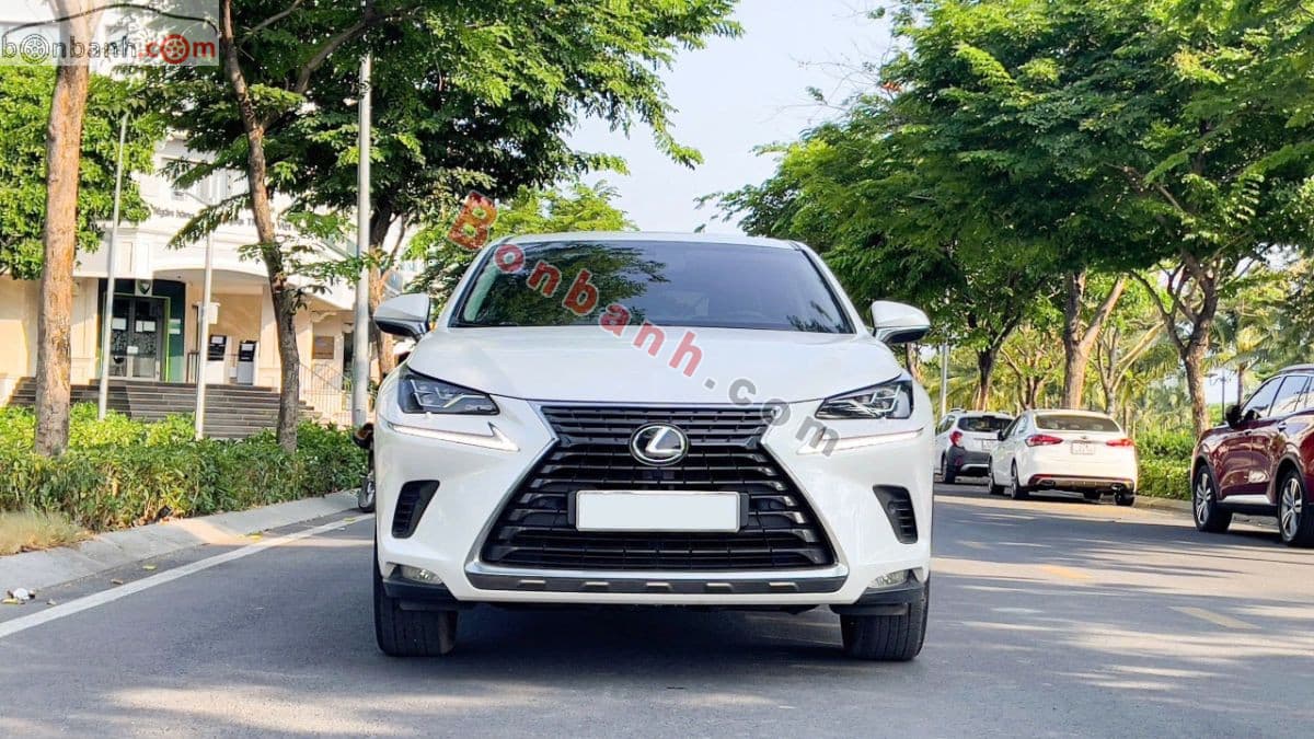 2019 Lexus NX 300