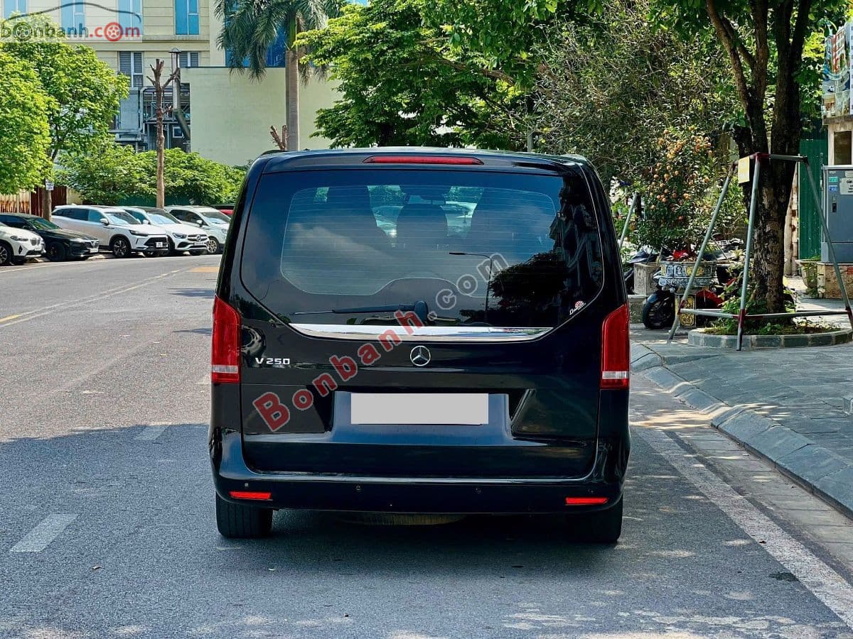 2019 Mercedes-Benz V class V250 Luxury - ảnh nhỏ 3