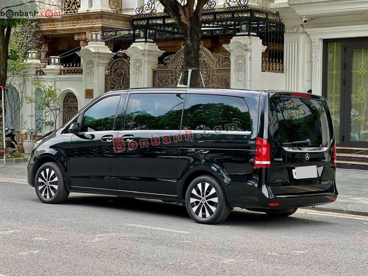 2019 Mercedes-Benz V class V250 Luxury - ảnh nhỏ 4