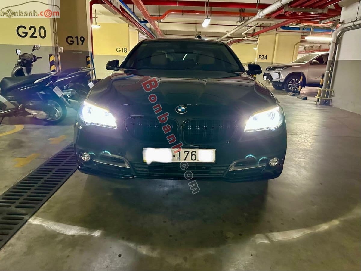 2015 BMW 5 Series 520i