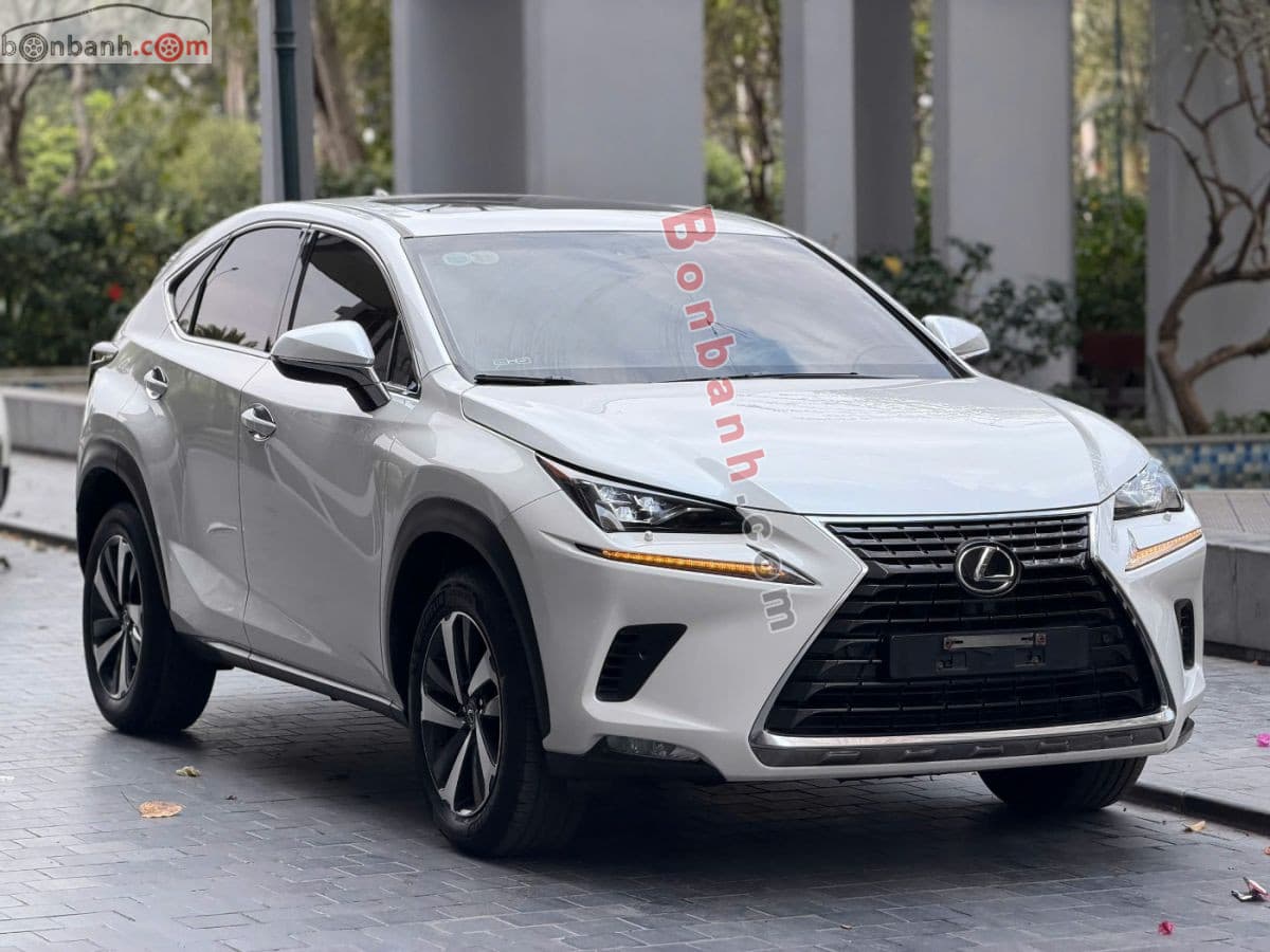 2018 Lexus NX 300