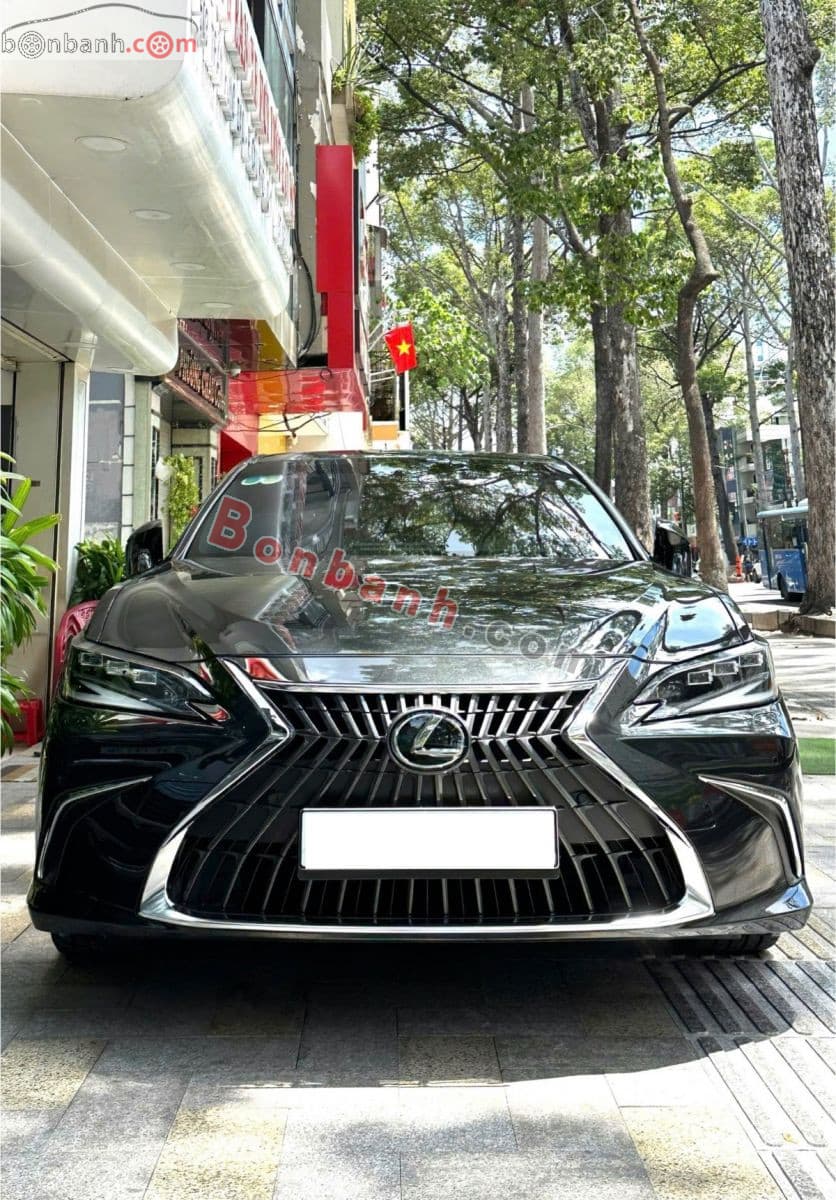 2023 Lexus ES 250