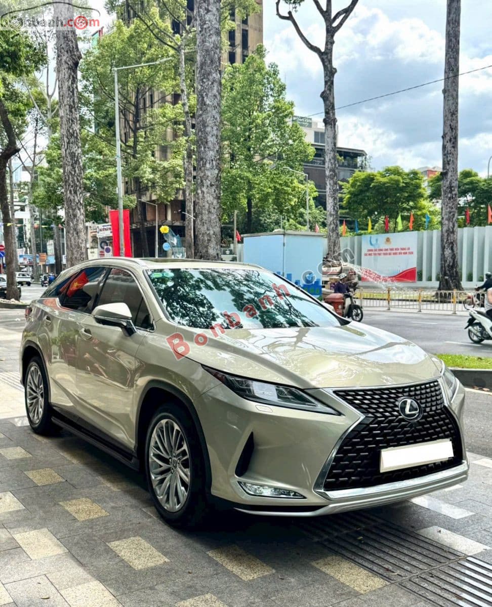 2019 Lexus RX 300