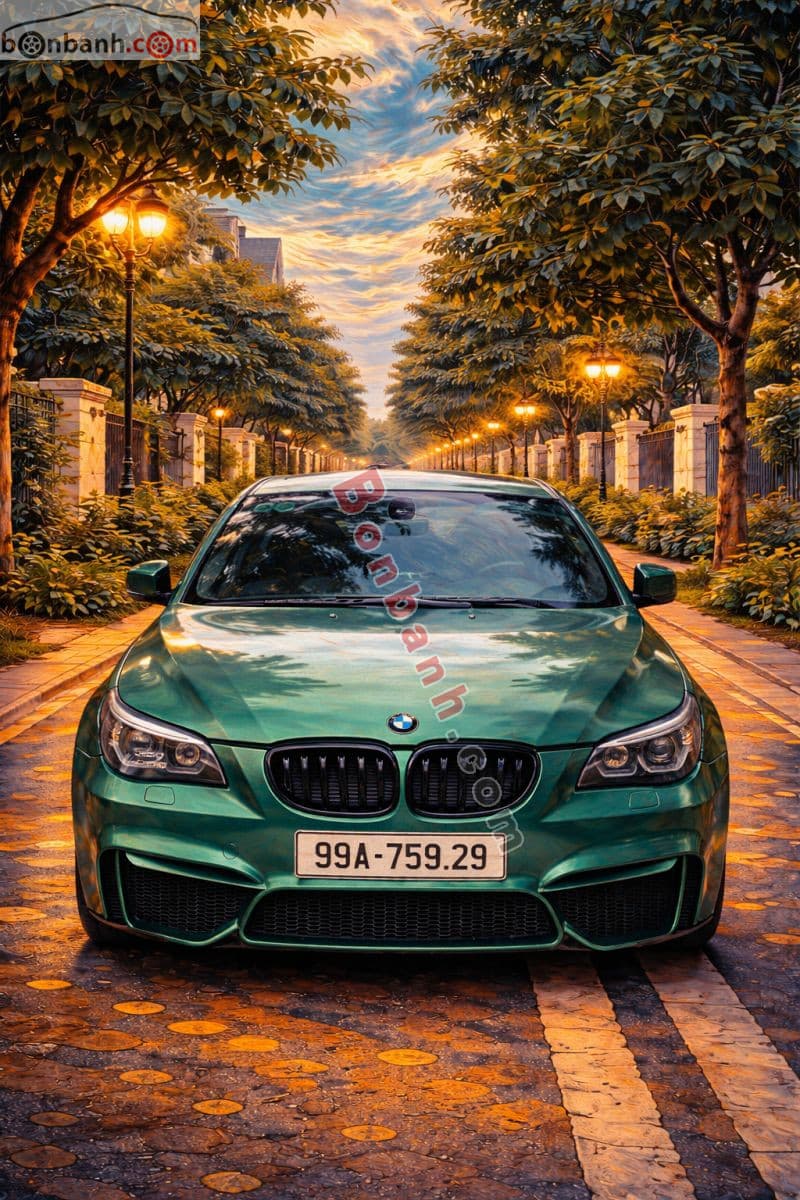 2005 BMW 5 Series 525i