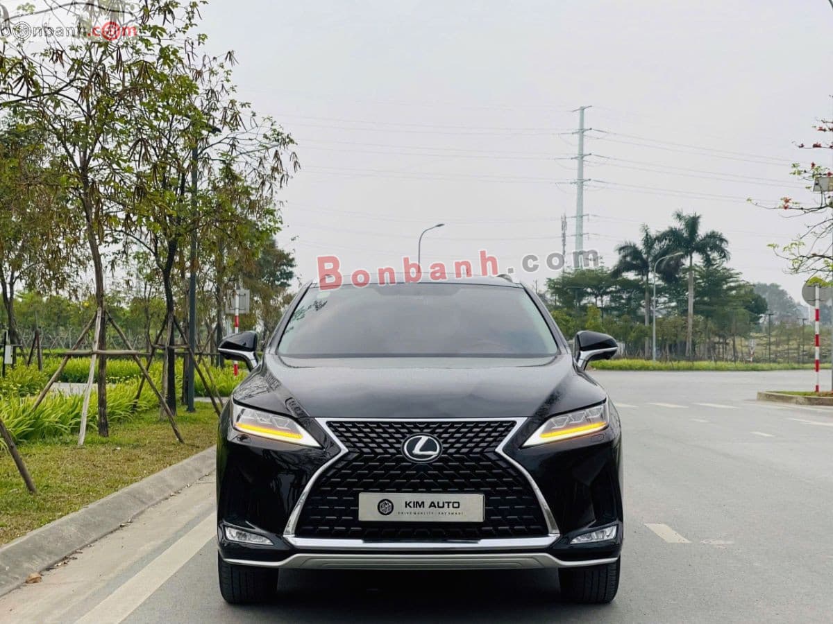 2021 Lexus RX 300