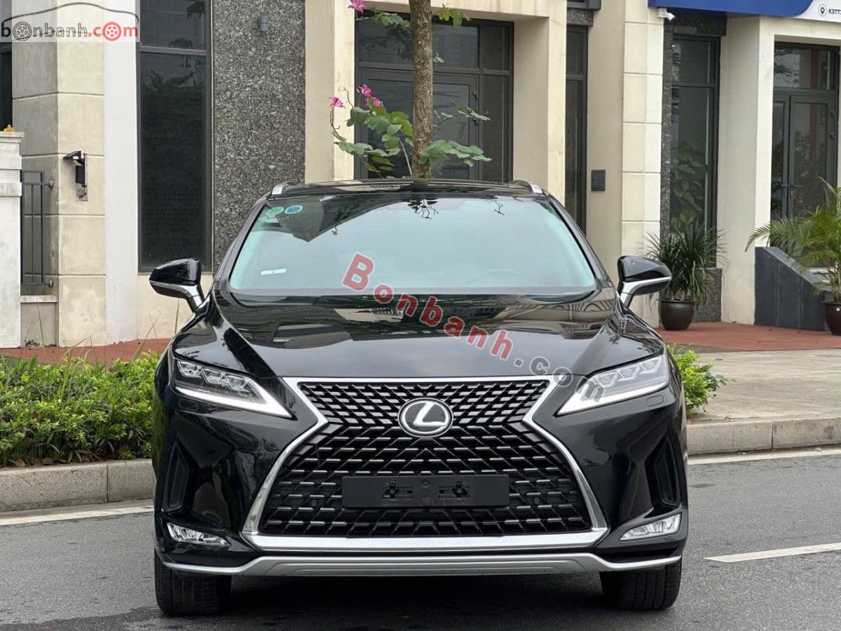 2021 Lexus RX 300