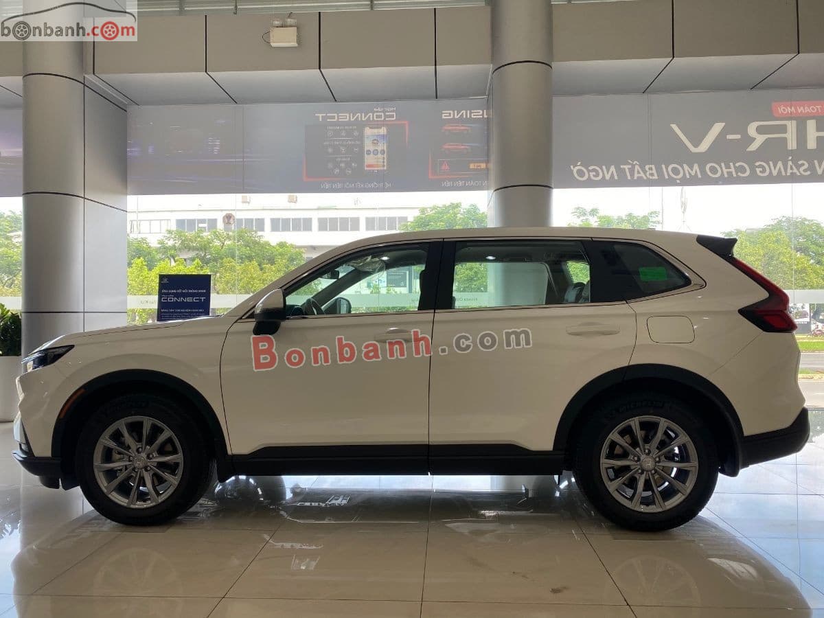 2026 Honda CRV G - ảnh nhỏ 2