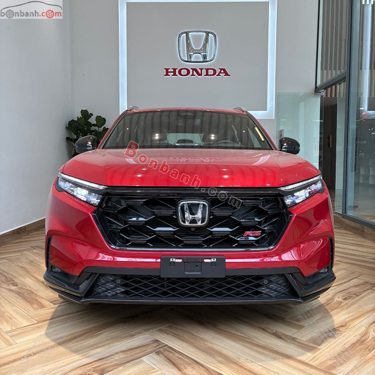 2026 Honda CRV e:HEV RS