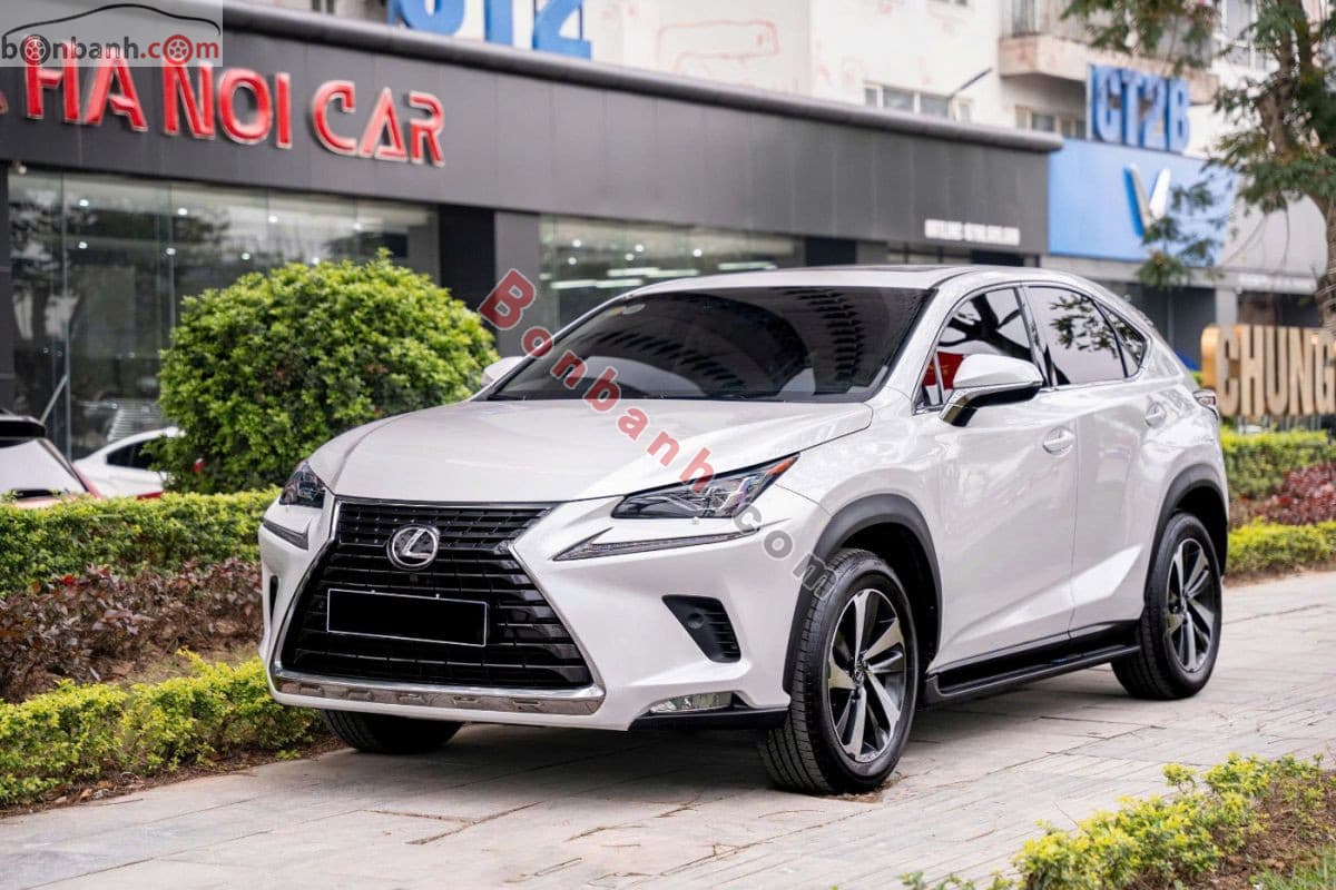 2018 Lexus NX 300