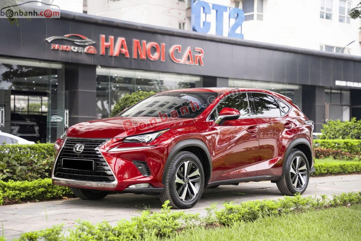 2019 Lexus NX 300