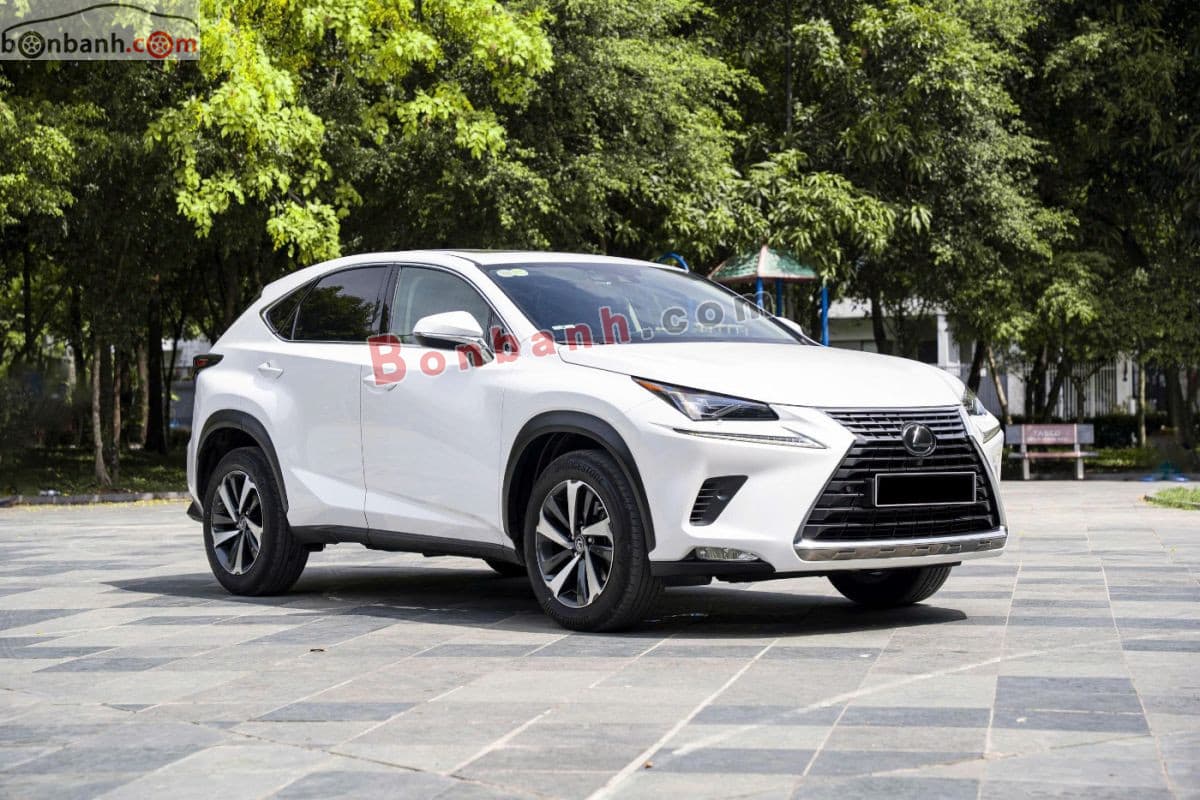 2021 Lexus NX 300