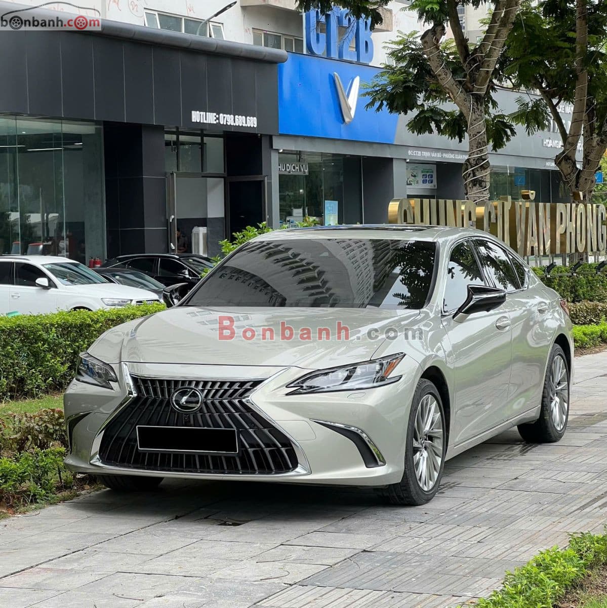 2023 Lexus ES 250
