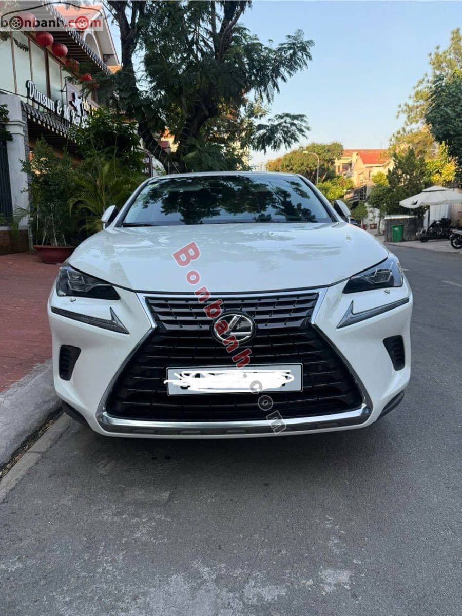 2017 Lexus NX 300